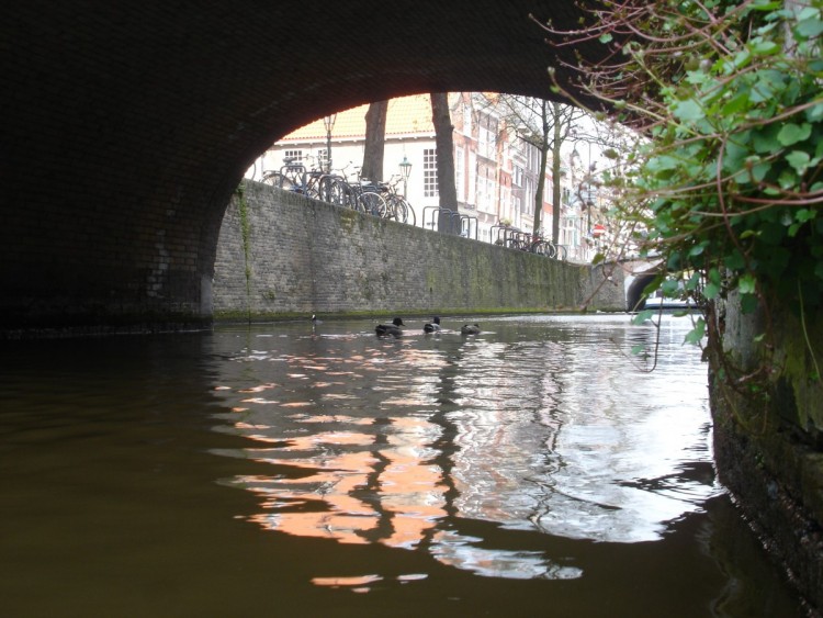 Wallpapers Trips : Europ Netherlands Canal  Delft