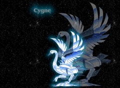 Fonds d'cran Manga cygne