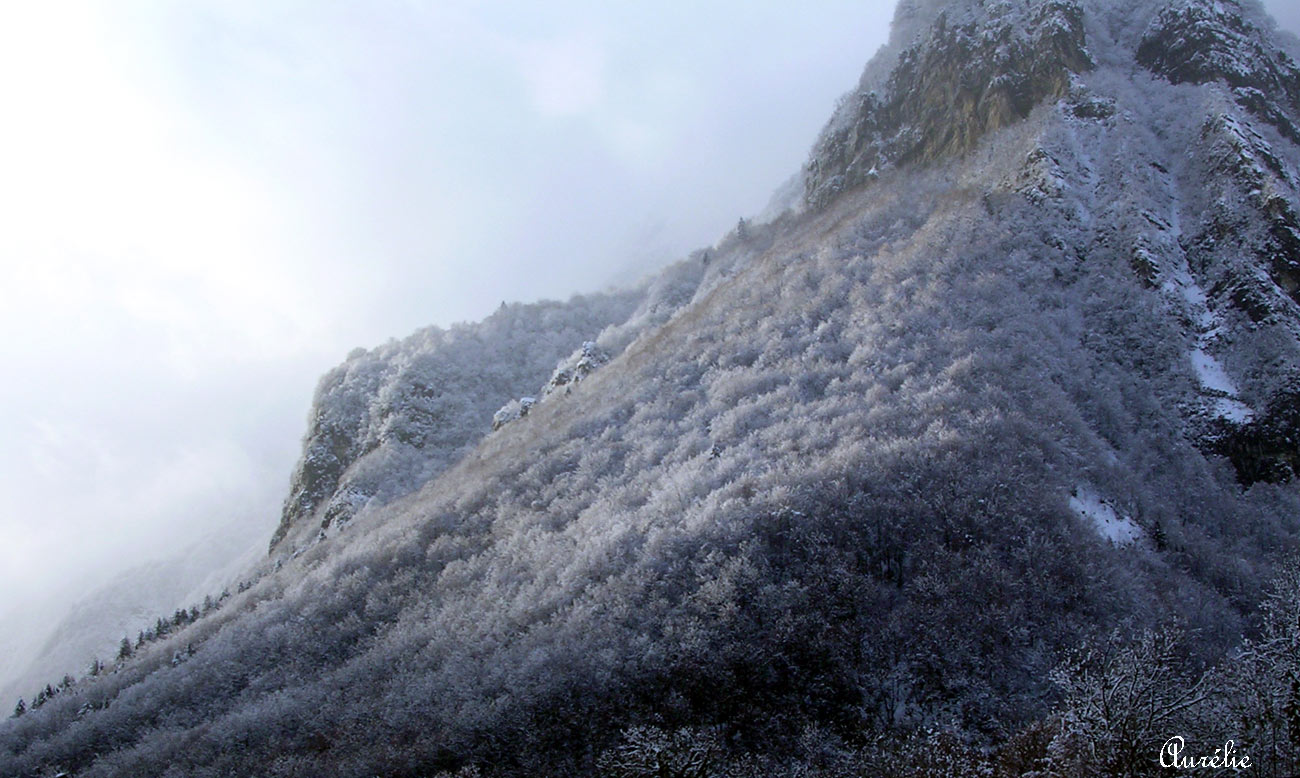 Wallpapers Nature Mountains Devant la fentre de ma chambre