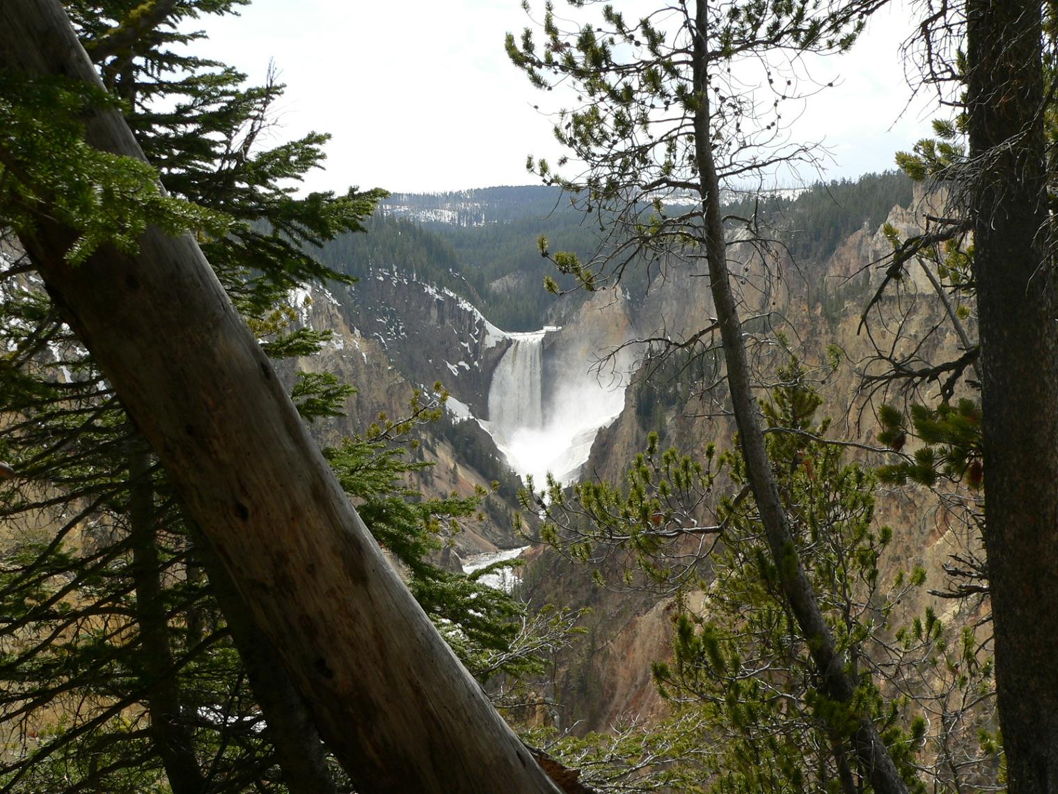 Fonds d'cran Nature Cascades - Chutes Yellowstone