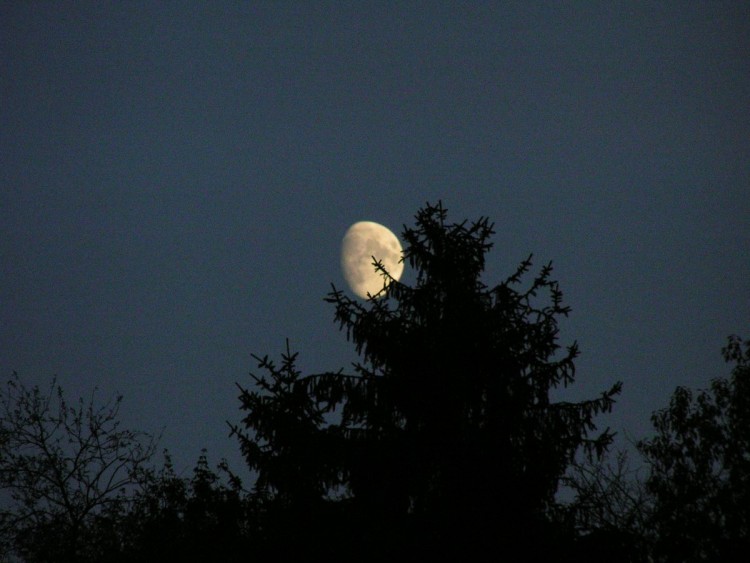 Fonds d'cran Espace Lune La lune