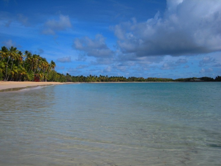 Fonds d'cran Nature Mers - Ocans - Plages Les Salines