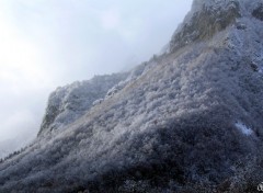 Fonds d'cran Nature Devant la fentre de ma chambre