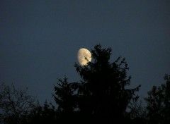 Fonds d'cran Espace La lune