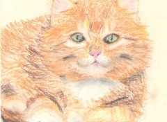 Wallpapers Art - Pencil cat