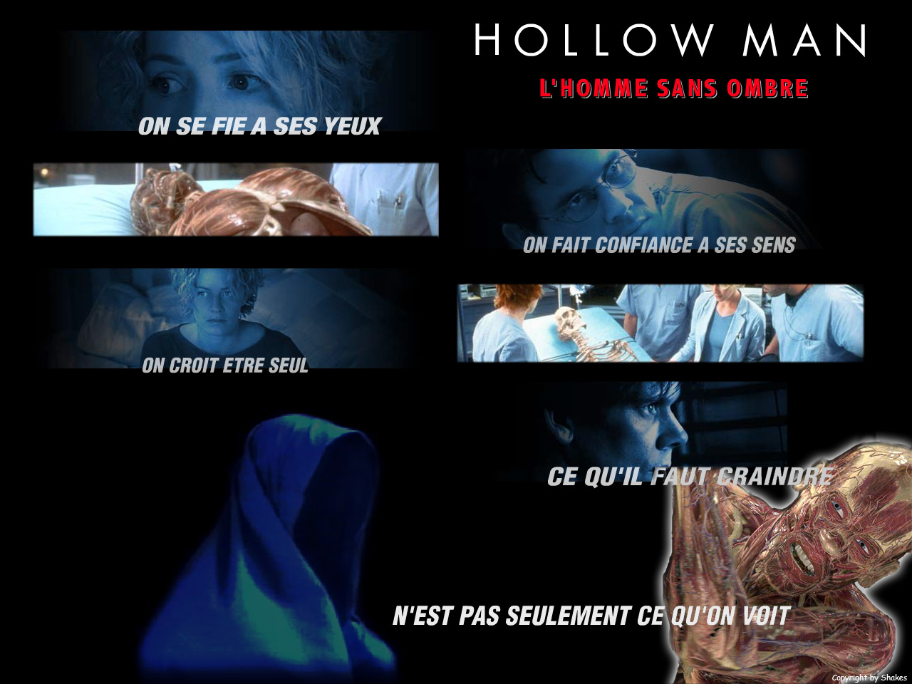 Fonds d'cran Cinma Hollowman - L'Homme sans Ombre hOLLOW mAN