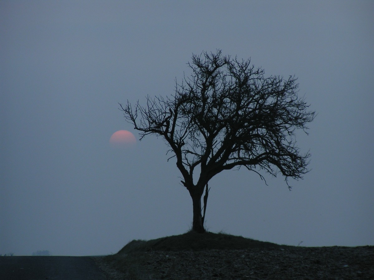 Fonds d'cran Nature Couchers et levers de Soleil 