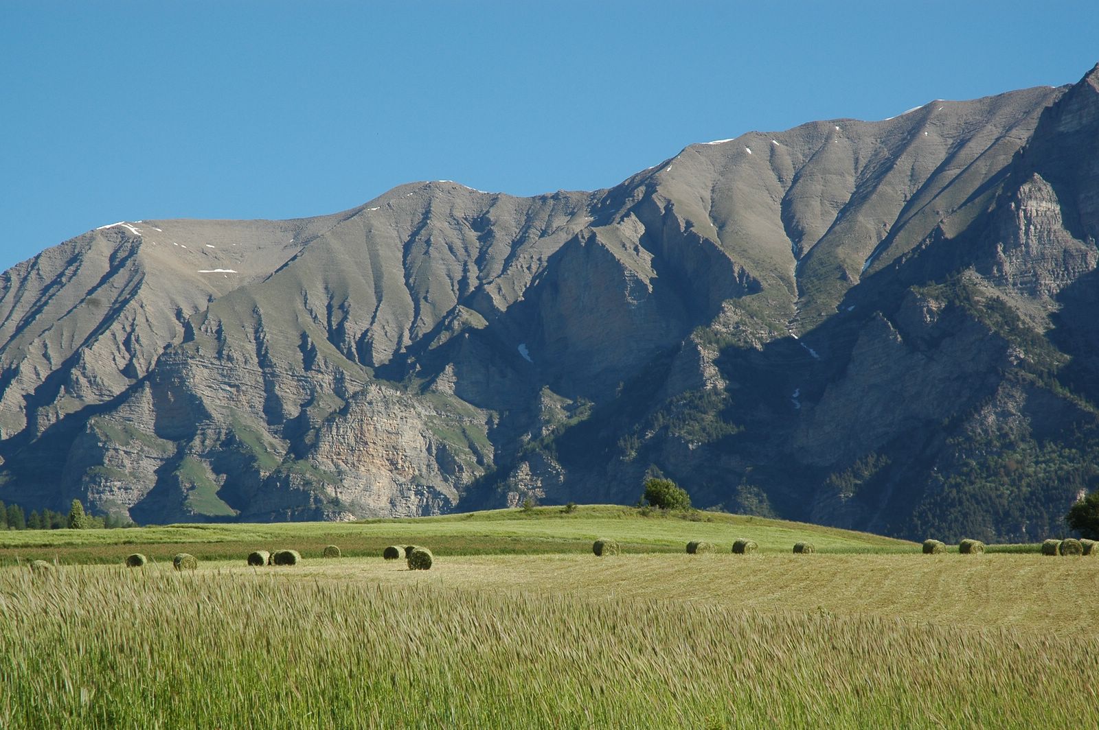 Wallpapers Nature Fields 