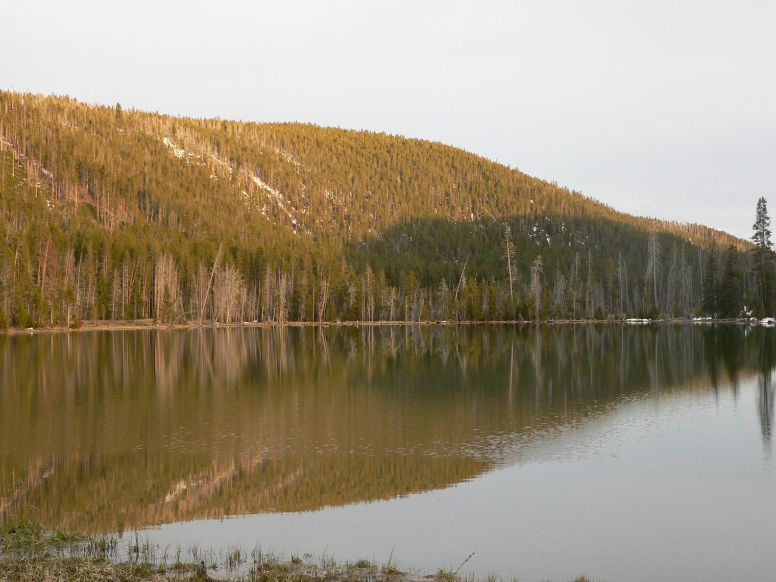 Wallpapers Trips : North America United-States Lac, Yellowstone