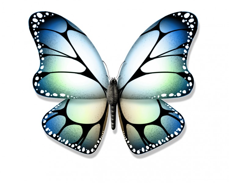 Wallpapers Digital Art Animals Papillon