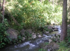 Fonds d'cran Nature une rivire de la Runion