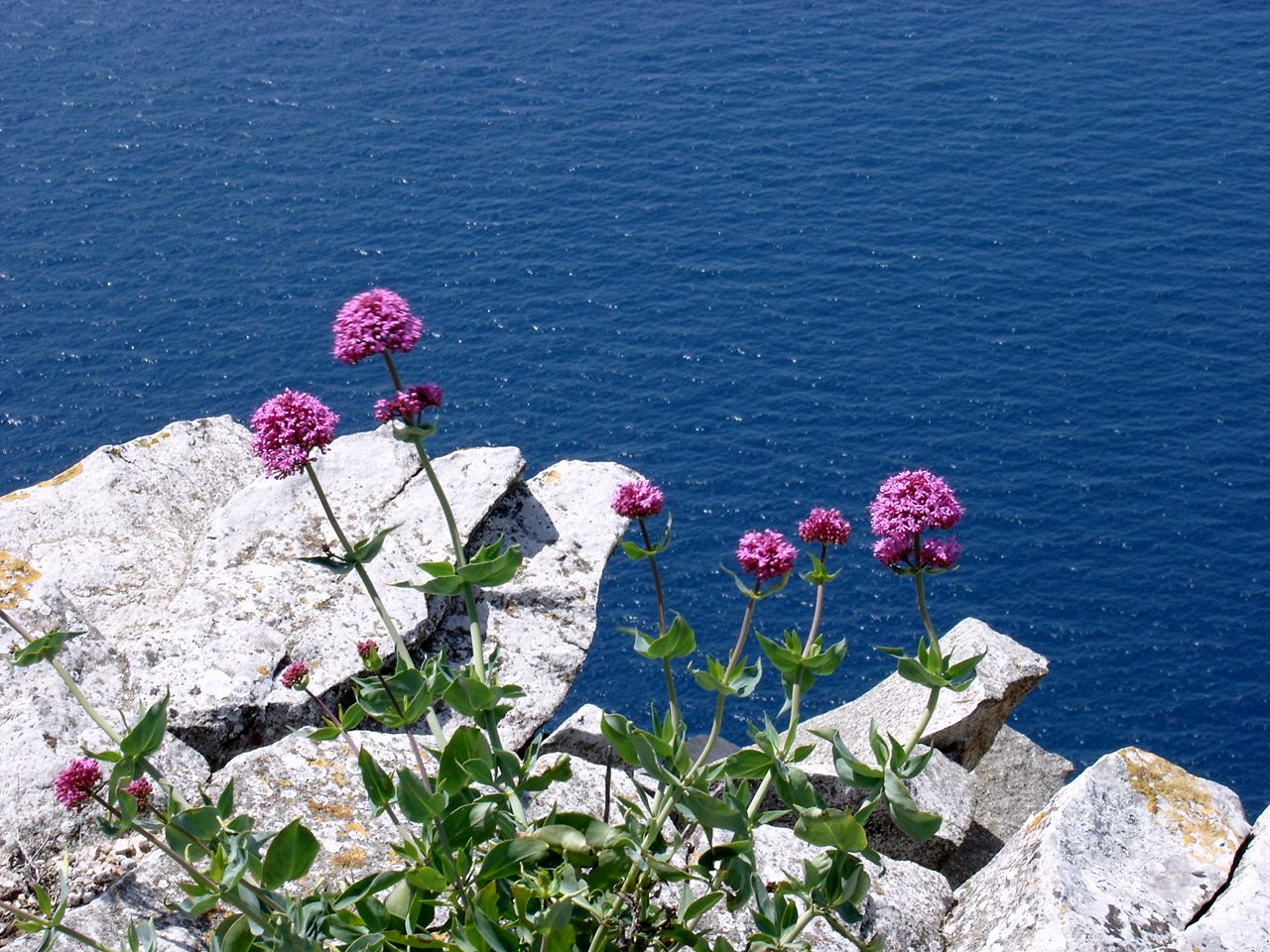 Wallpapers Nature Cliffs Entre Mer et Terre