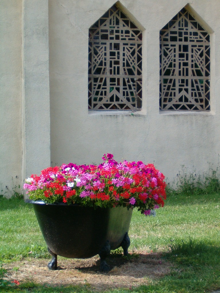 Fonds d'cran Nature Fleurs Le bain...