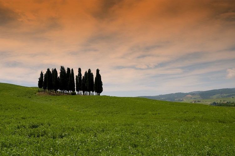 Fonds d'cran Voyages : Europe Italie Cipressi - Toscana