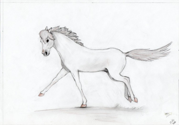 Fonds d'cran Art - Crayon Animaux - Chevaux Wallpaper N140970