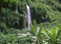 Fonds d'cran Nature Cascade