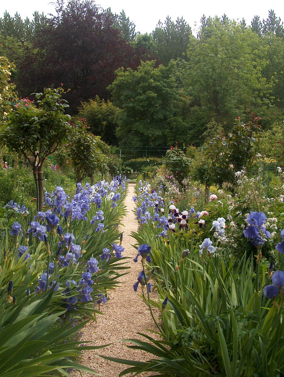 Wallpapers Nature Parks - Gardens Les jardins de Giverny