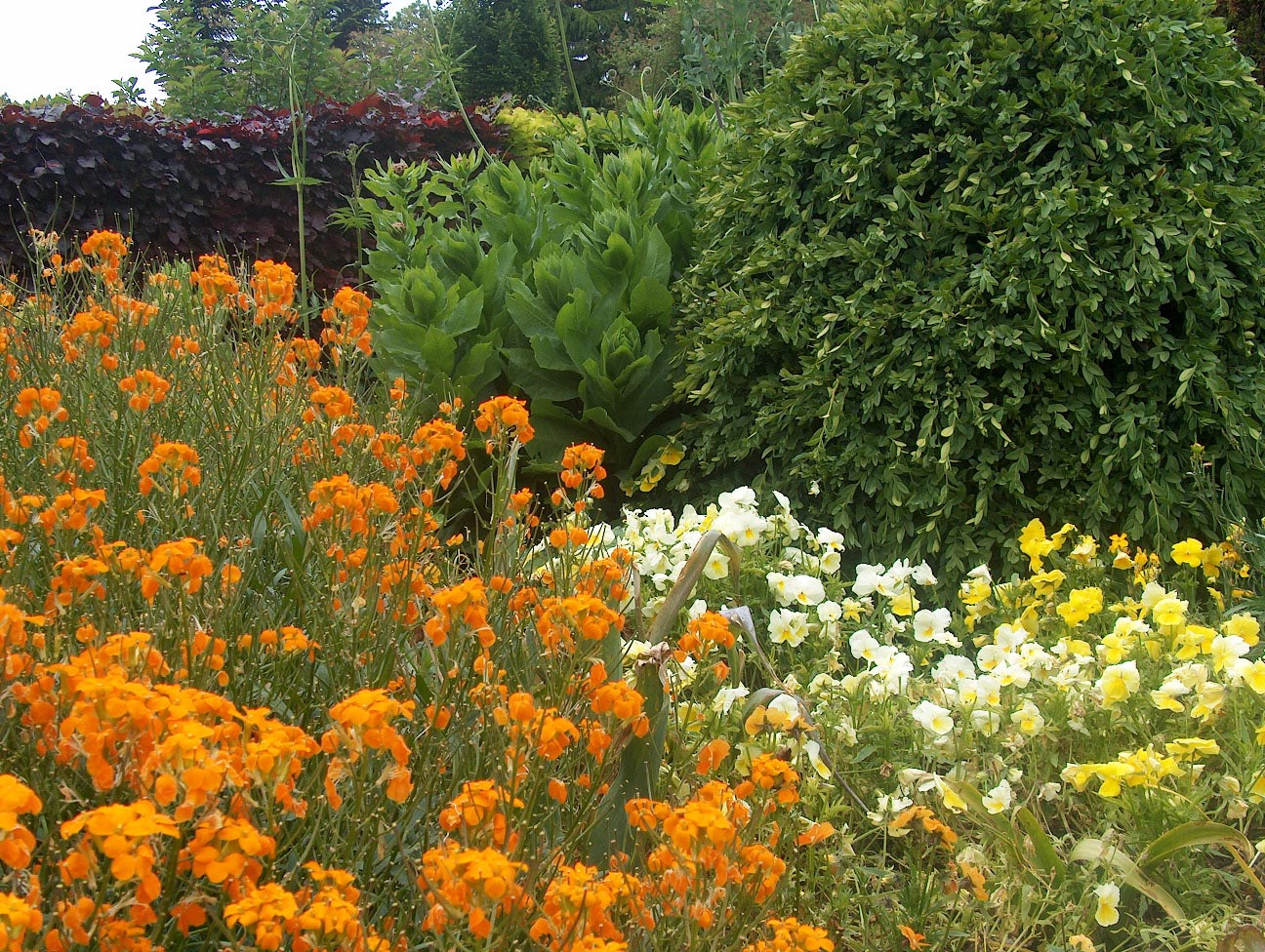 Wallpapers Nature Parks - Gardens Les jardins de Giverny 2