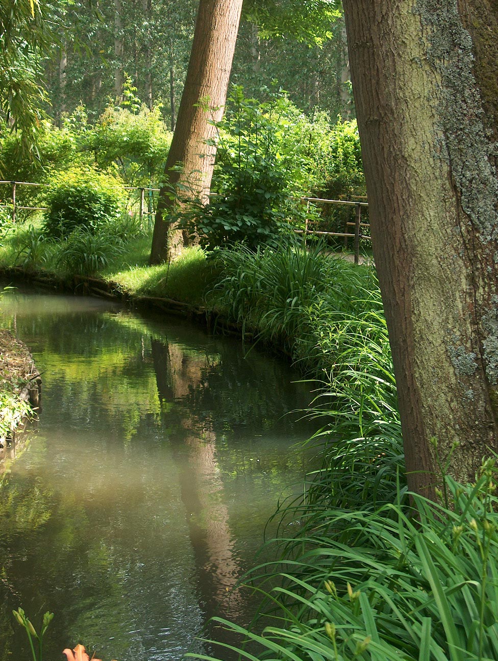 Fonds d'cran Nature Parcs - Jardins Les jardins de Giverny 3