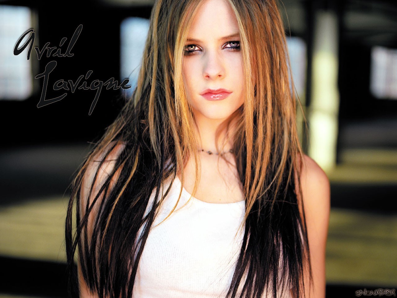 Wallpapers Music Avril Lavigne 