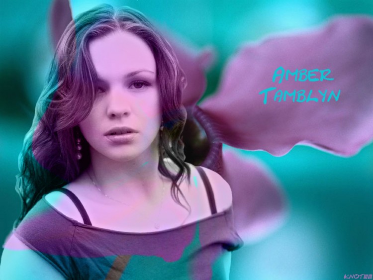 Fonds d'cran Clbrits Femme Amber Tamblyn Wallpaper N141298