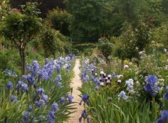 Fonds d'cran Nature Les jardins de Giverny