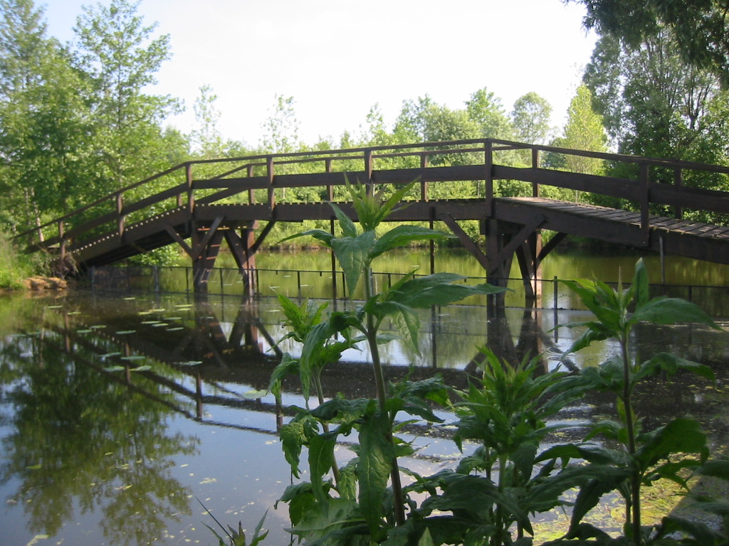 Wallpapers Constructions and architecture Bridges - Aqueduct Petit pont de bois