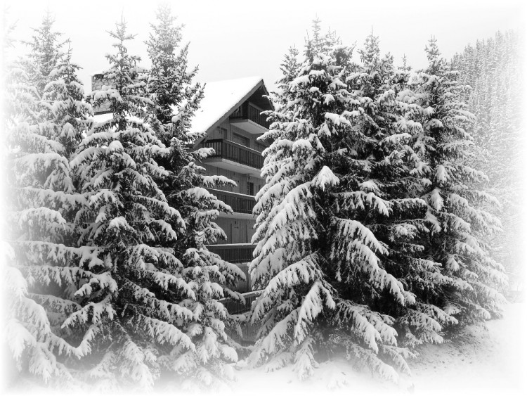 Wallpapers Nature Black & White Mribel