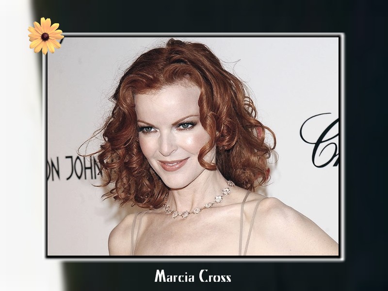 Fonds d'cran Clbrits Femme Marcia Cross 