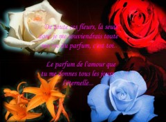 Wallpapers Digital Art parfum d'une fleur