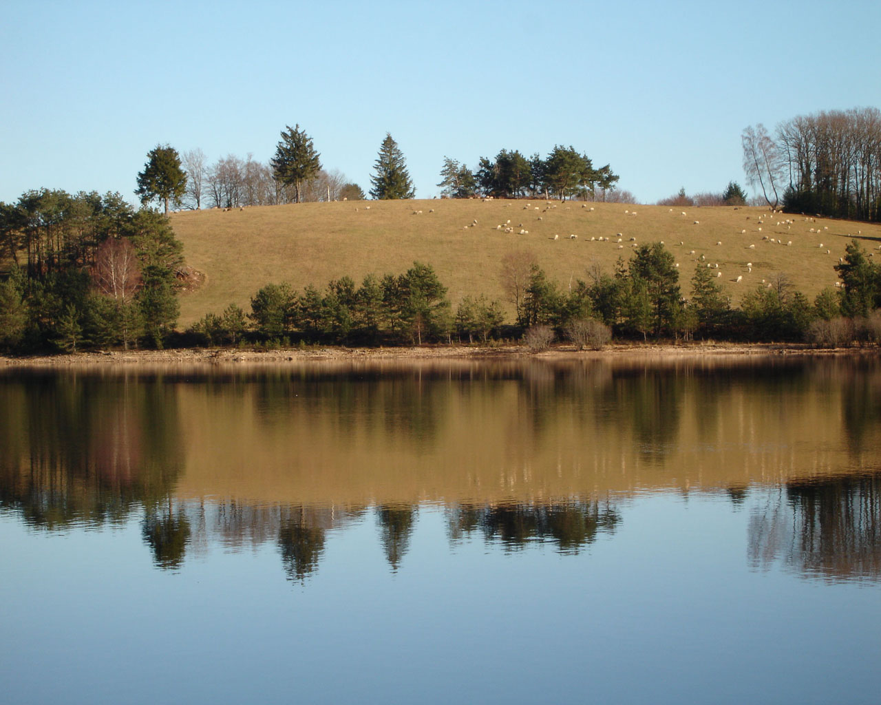 Wallpapers Nature Water - Reflection 