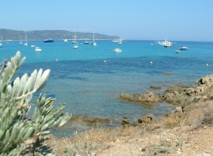 Fonds d'cran Nature Le cap Taillat