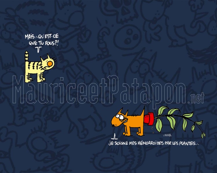 Wallpapers Comics Maurice et Patapon Homopathie