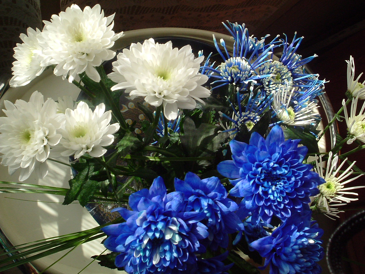 Wallpapers Nature Flowers La Vie en BLEU... et Blanc !