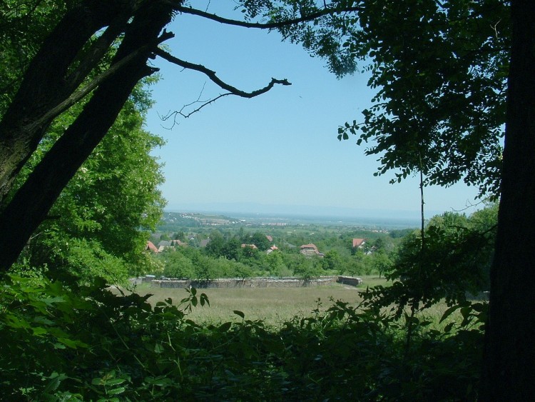 Fonds d'cran Nature Paysages ottrott 2006 (03)