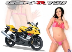Wallpapers Motorbikes GSX-Girl