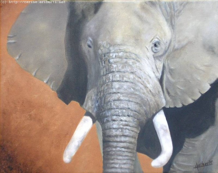 Fonds d'cran Art - Peinture Animaux Elphant de face