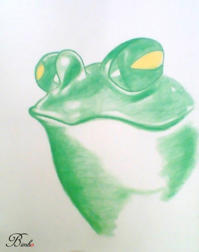 Wallpapers Art - Pencil Animals - Frogs The frog