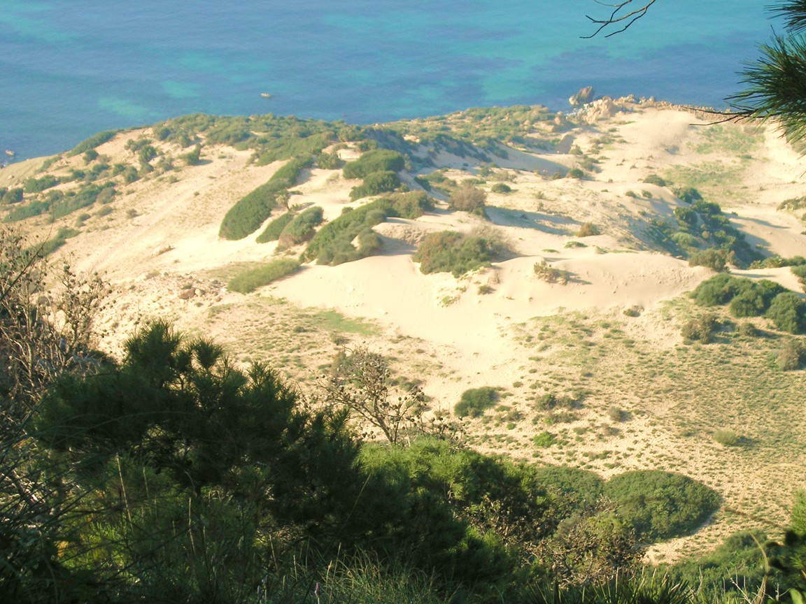 Wallpapers Trips : Africa Algeria Oran Les Dunes des Falaises