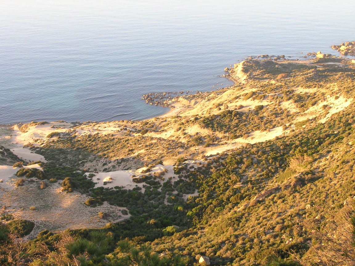 Fonds d'cran Voyages : Afrique Algrie Oran Les Falaises II