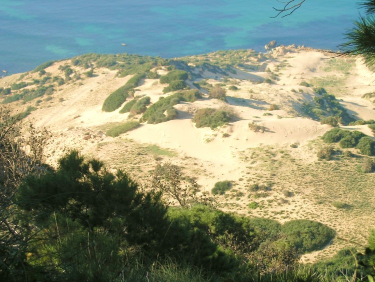 Fonds d'cran Voyages : Afrique Algrie Oran Les Dunes des Falaises