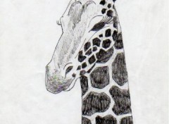 Wallpapers Art - Pencil girafe