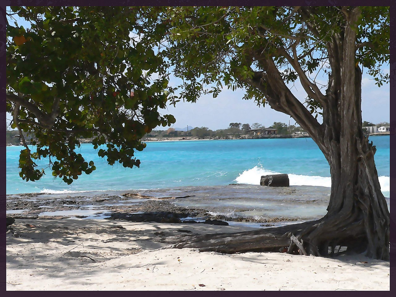 Fonds d'cran Nature Mers - Ocans - Plages plage de cuba