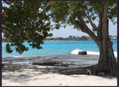 Fonds d'cran Nature plage de cuba