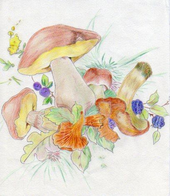 Fonds d'cran Art - Crayon Fleurs - Feuilles - Fruits Tableau d'automne