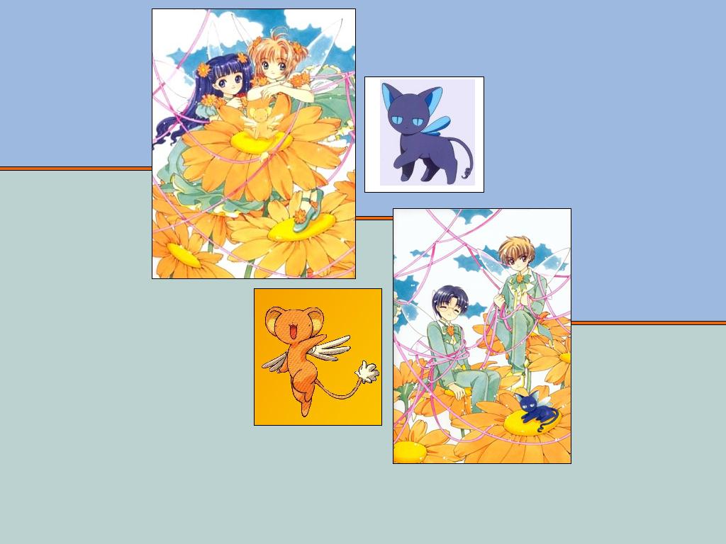 Wallpapers Manga Card Captor Sakura les tournesols