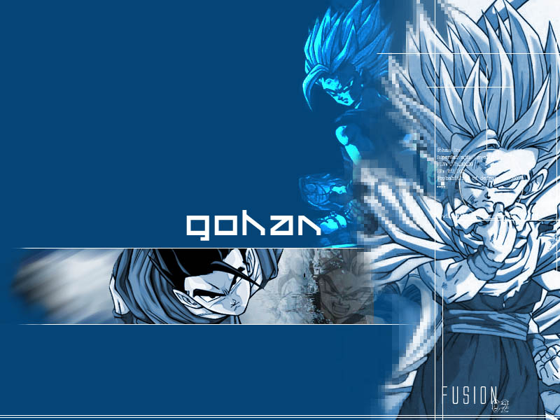 Fonds d'cran Manga Dragon Ball Z gohan