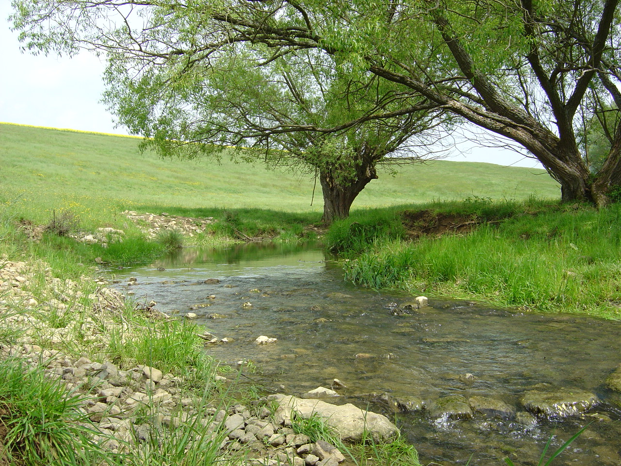 Fonds d'cran Nature Fleuves - Rivires - Torrents 