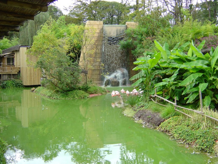 Wallpapers Nature Waterfalls ZOO D' AMNEVILLE