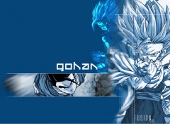 Wallpapers Manga gohan